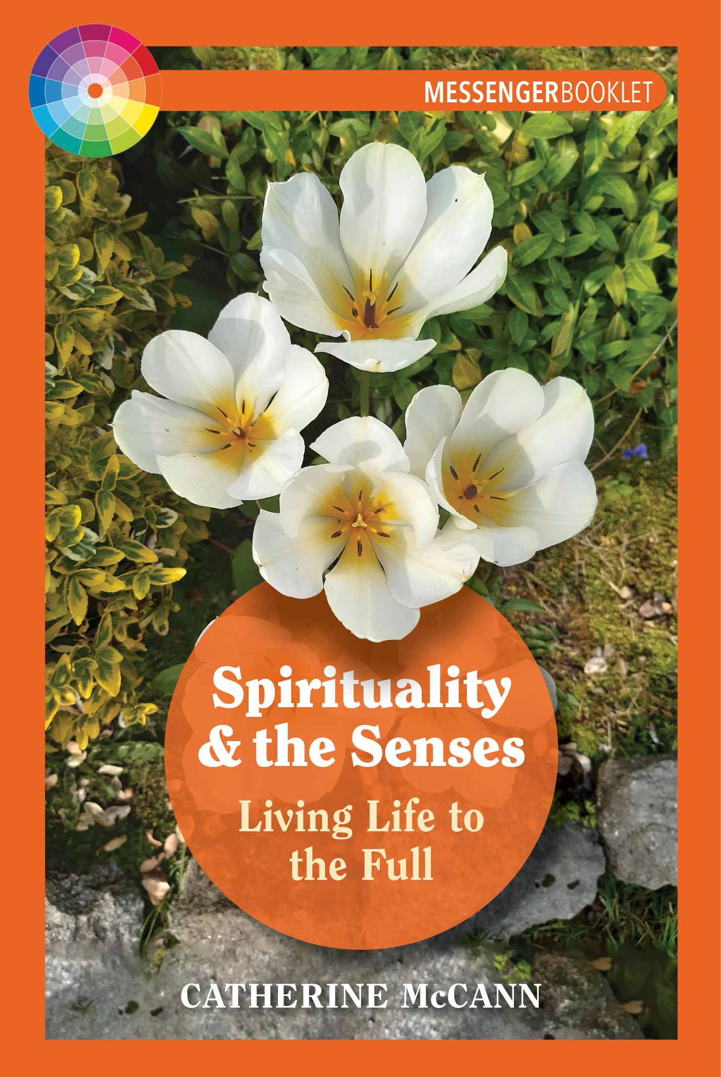 Sense Living Spirituality & the Senses: Living Life to the Full – Messenger Publications